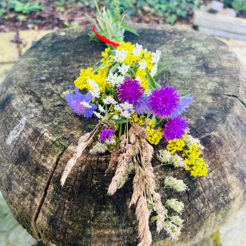 Wild Women's Circles